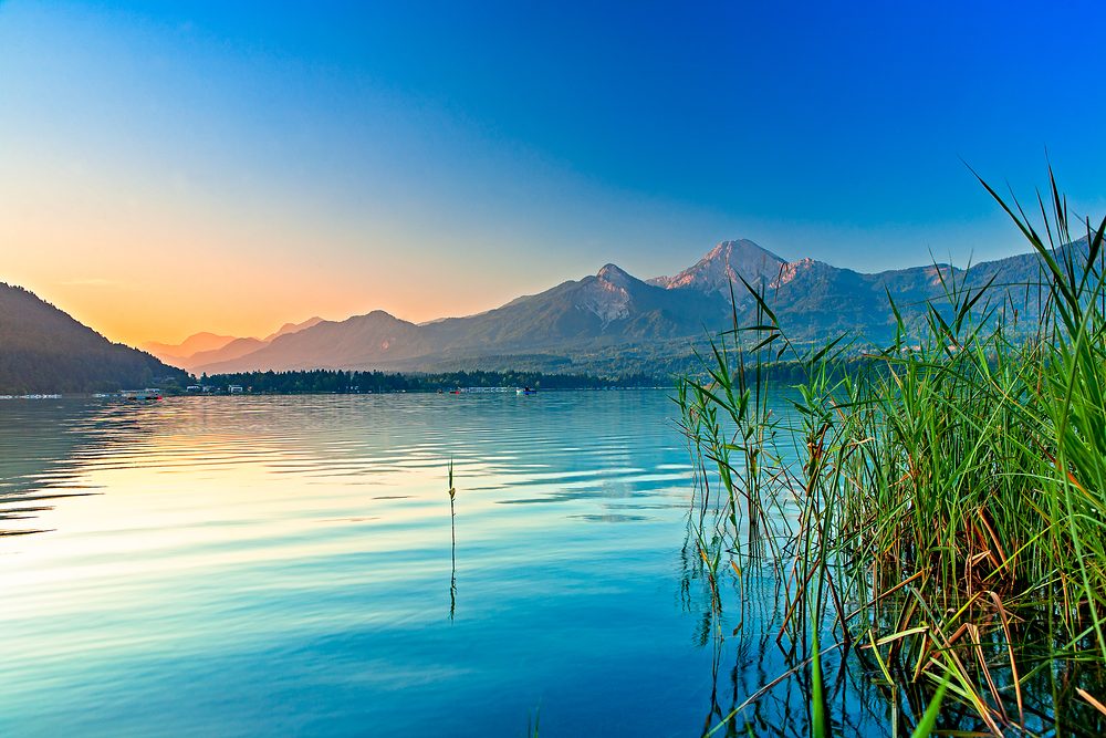 Morning on Lake Faak with reeds and a view of the Mittagskogel