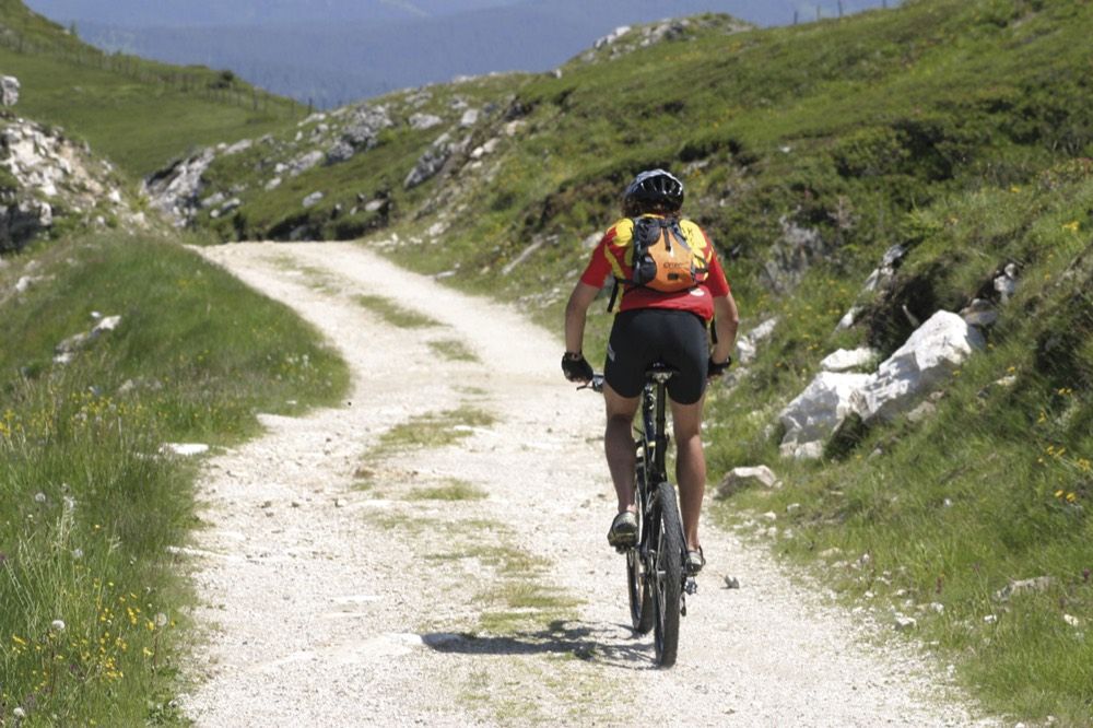 Article image: Cycling tours at Lake Faak
