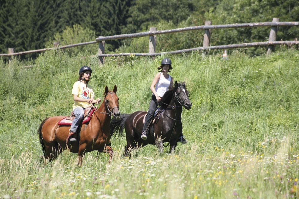 Horse riding in the region
